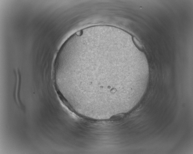 X0000067471527200604281841