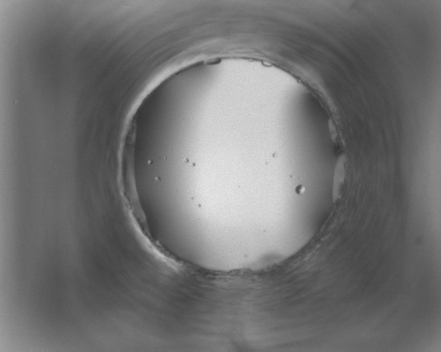 X0000067471528200604281841