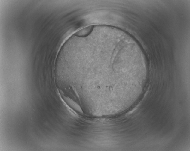 X0000067471529200604281841