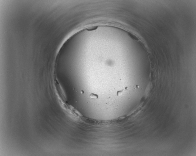 X0000067471530200604281841