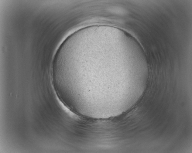 X0000067471531200604281841