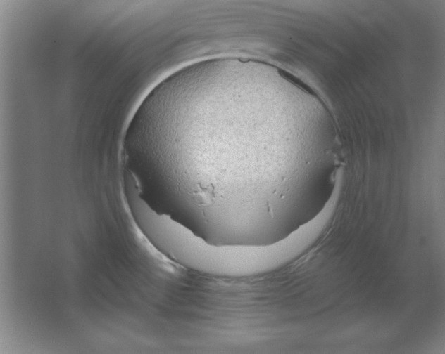 X0000067471532200604281841