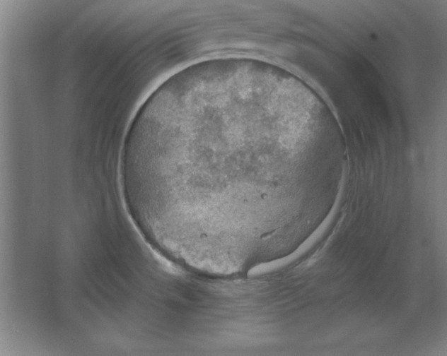 X0000067471533200604281841