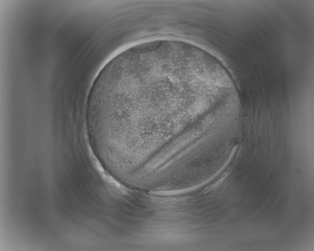 X0000067471534200604281841