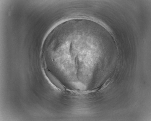 X0000067471536200604281841