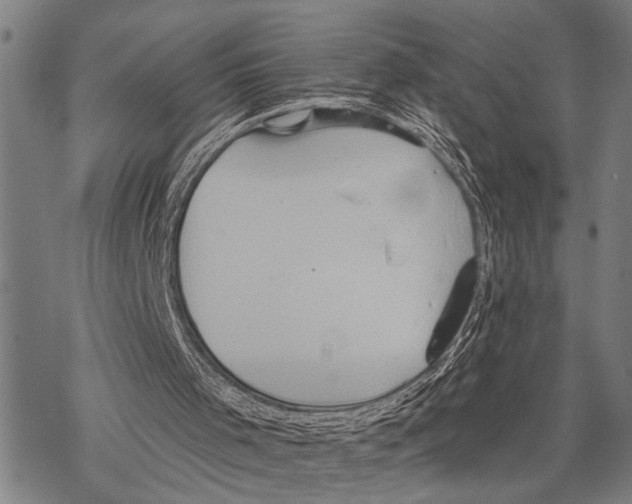 X0000067470001200605051659