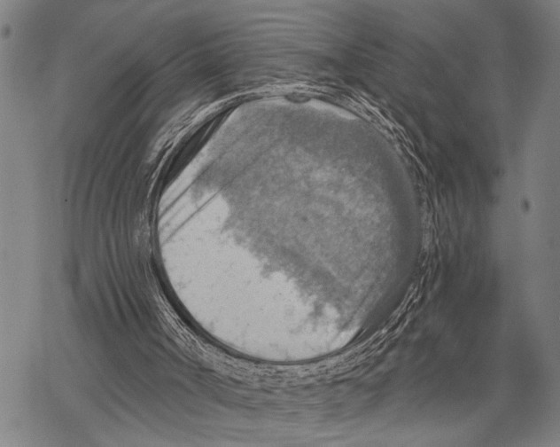 X0000067470002200605051659