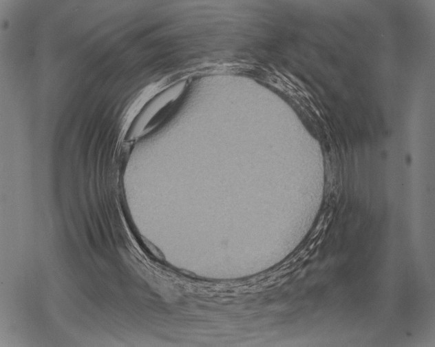 X0000067470003200605051659