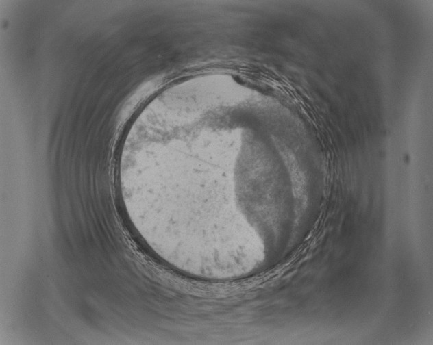 X0000067470006200605051659