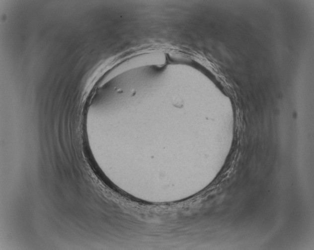 X0000067470007200605051659