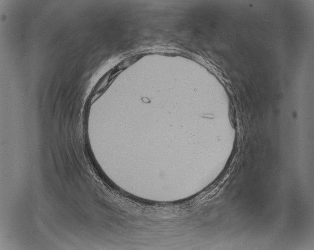 X0000067470008200605051659