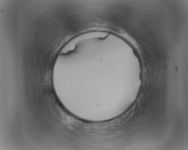 X0000067470009200605051659