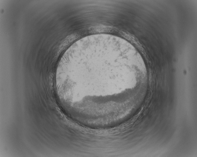 X0000067470010200605051659