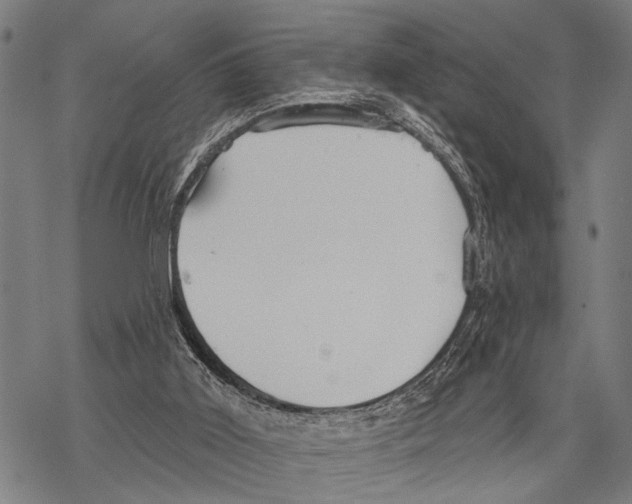 X0000067470011200605051659