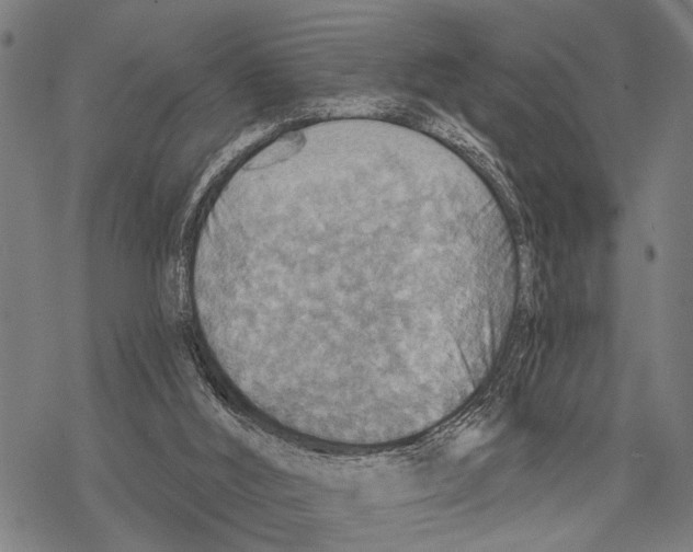 X0000067470012200605051659