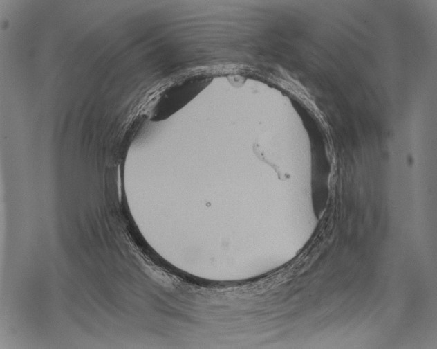 X0000067470013200605051659