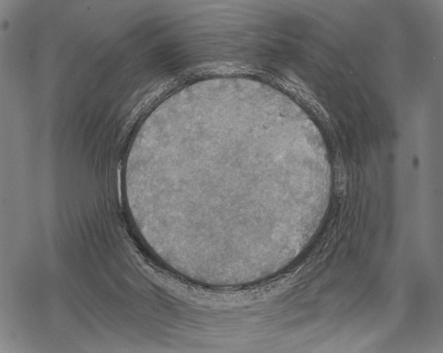 X0000067470014200605051659