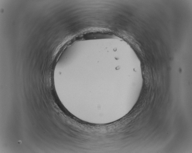 X0000067470015200605051659