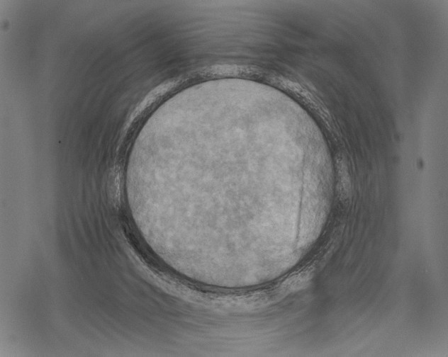 X0000067470016200605051659