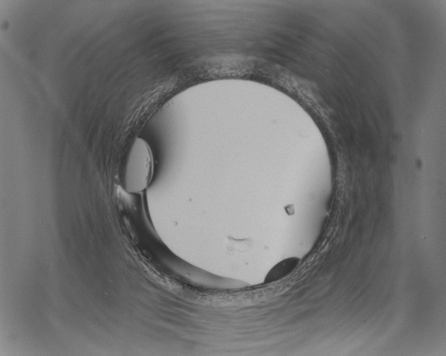 X0000067470017200605051658