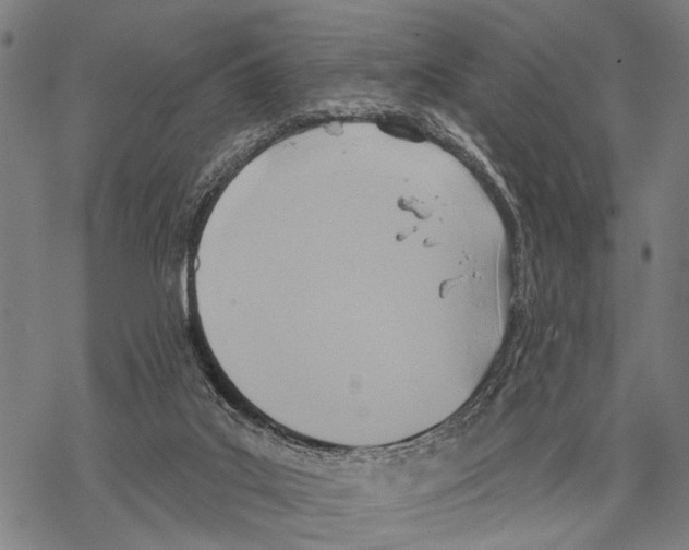 X0000067470019200605051658