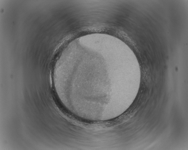 X0000067470020200605051658