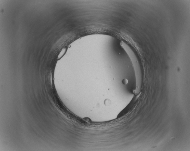 X0000067470021200605051658