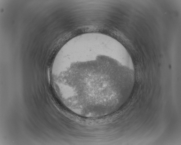 X0000067470022200605051658