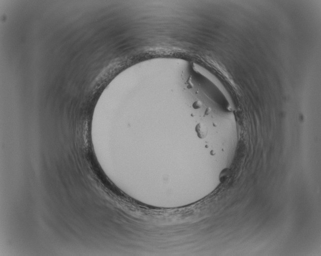 X0000067470023200605051658