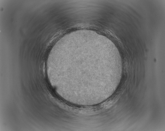 X0000067470024200605051658