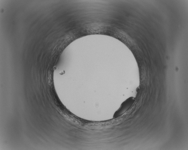 X0000067470025200605051658