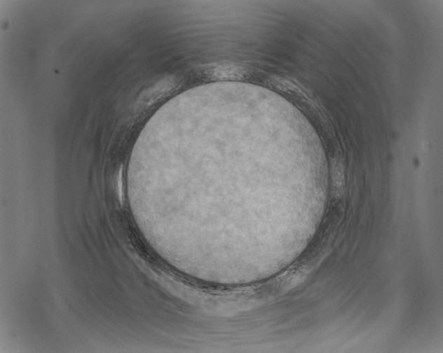 X0000067470028200605051658