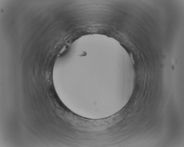 X0000067470031200605051658