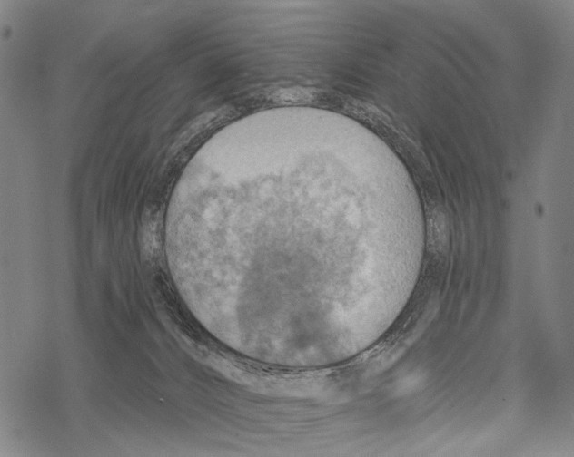 X0000067470032200605051658