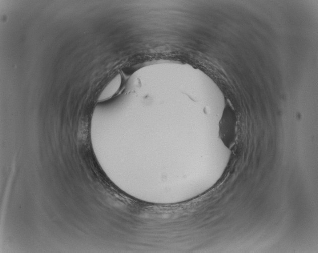 X0000067470033200605051658