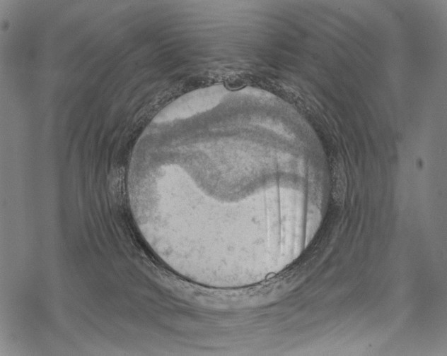 X0000067470034200605051658