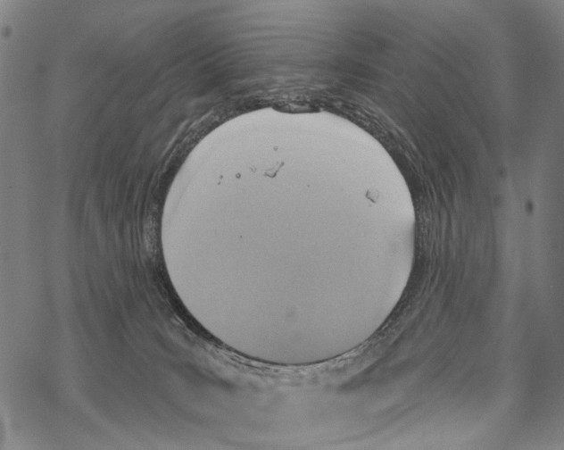 X0000067470035200605051658