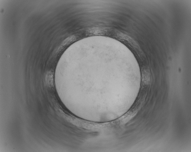 X0000067470036200605051658