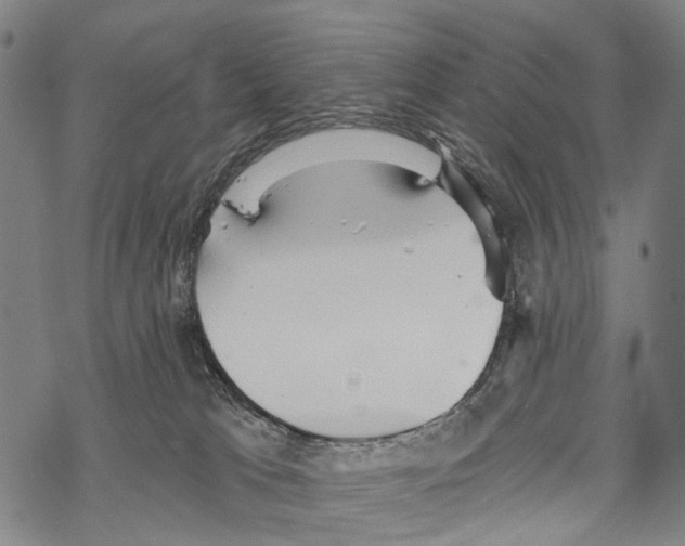 X0000067470037200605051658