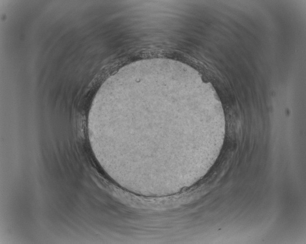 X0000067470038200605051658