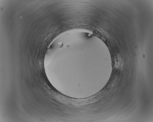 X0000067470039200605051658