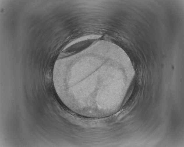 X0000067470040200605051658