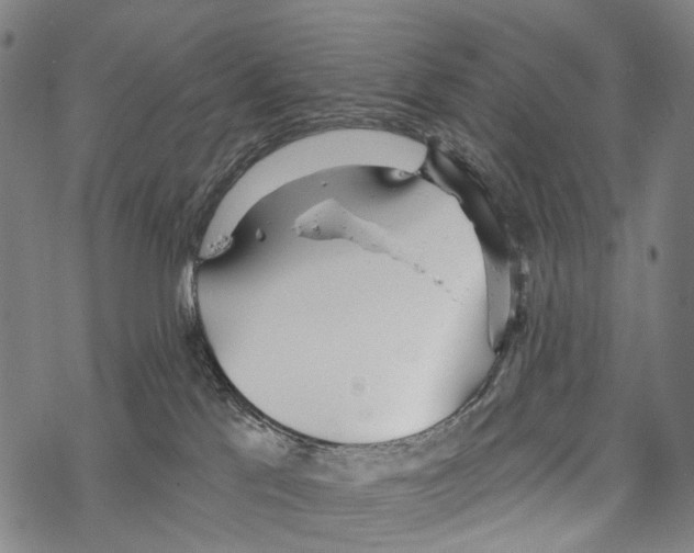 X0000067470041200605051658