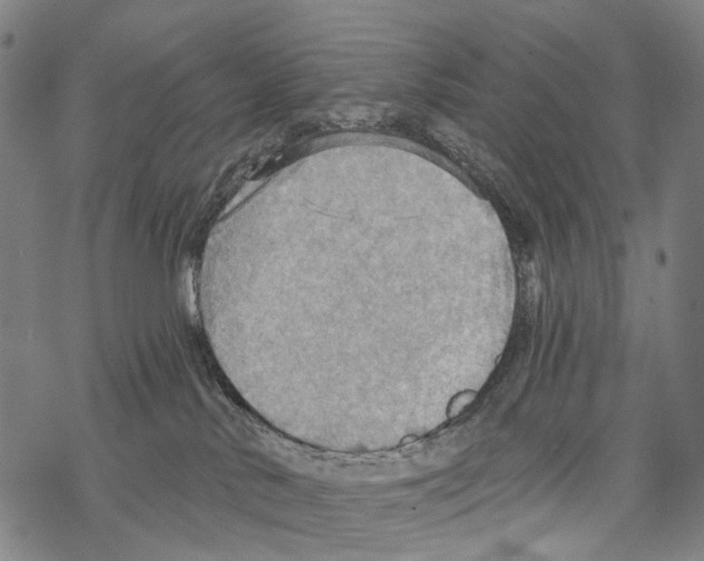 X0000067470042200605051658