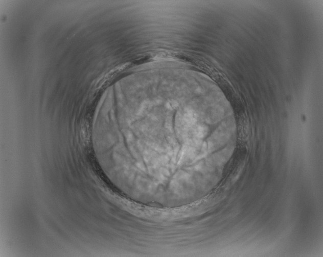 X0000067470043200605051658