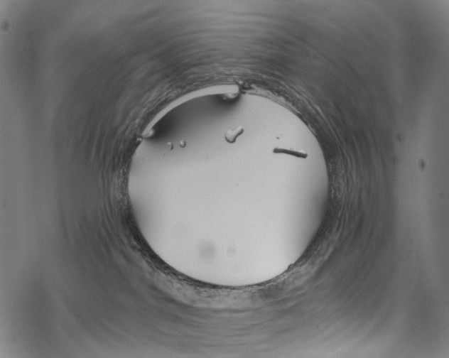 X0000067470044200605051658