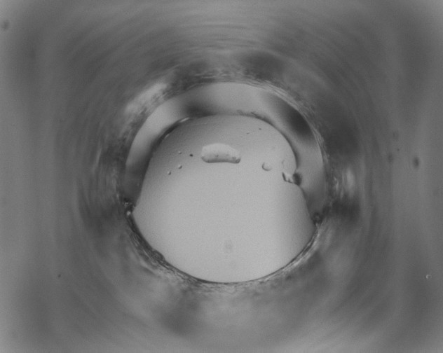 X0000067470045200605051658