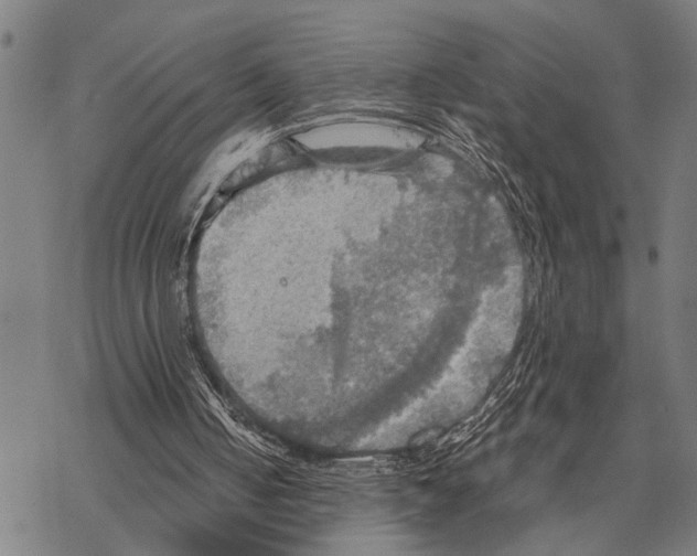 X0000067470050200605051657