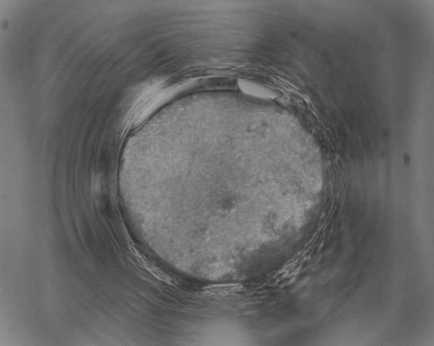 X0000067470051200605051657