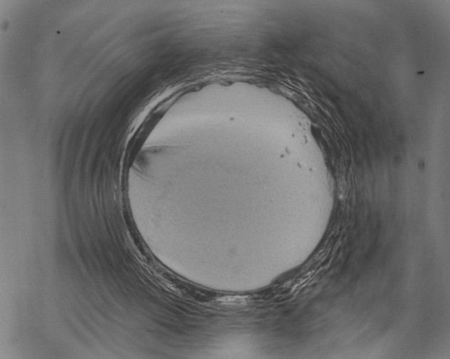 X0000067470052200605051657